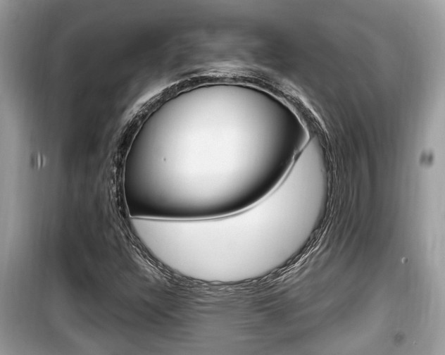 X0000099931304200805230951