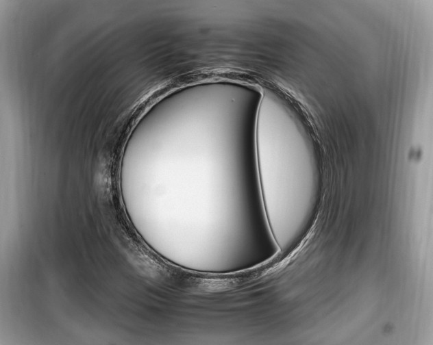 X0000099931305200805230951