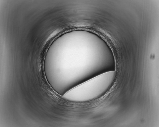 X0000099931306200805230951