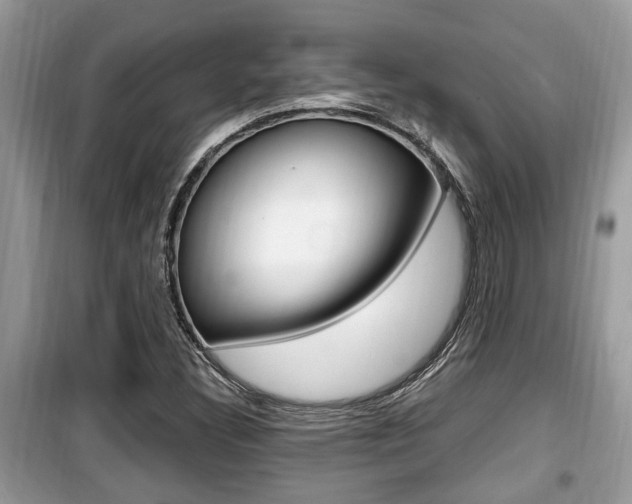 X0000099931308200805230951
