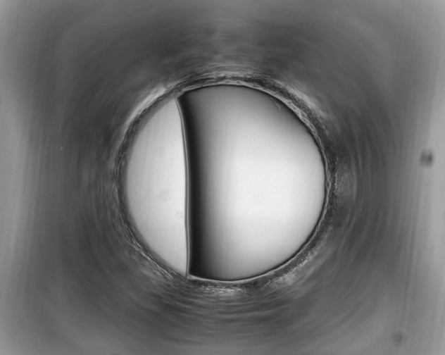 X0000099931309200805230951