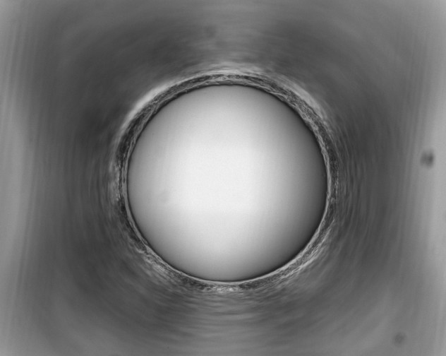 X0000099931310200805230951