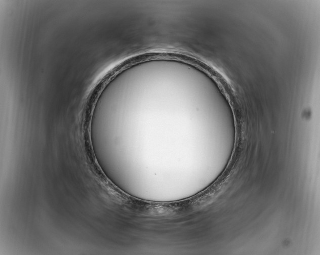 X0000099931311200805230951