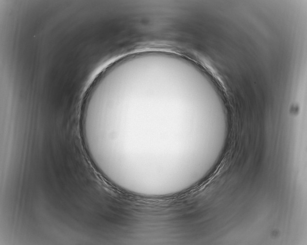 X0000099931312200805230951