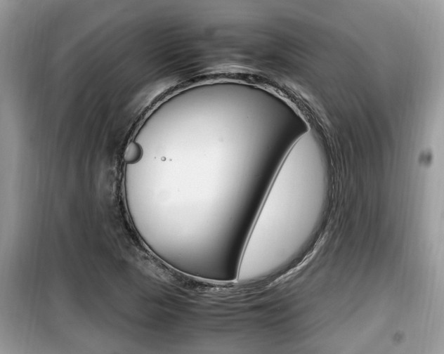 X0000099931313200805230951