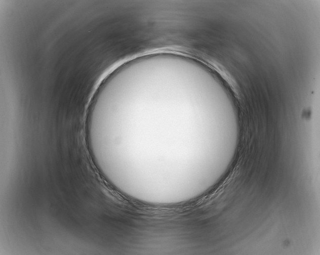 X0000099931316200805230951