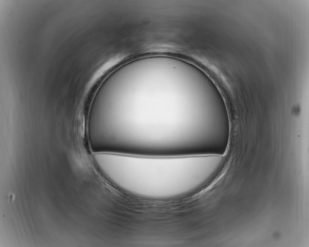 X0000099931317200805230951