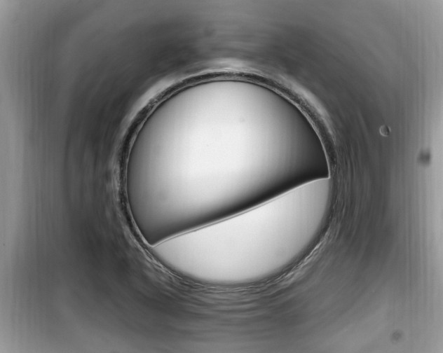 X0000099931318200805230951