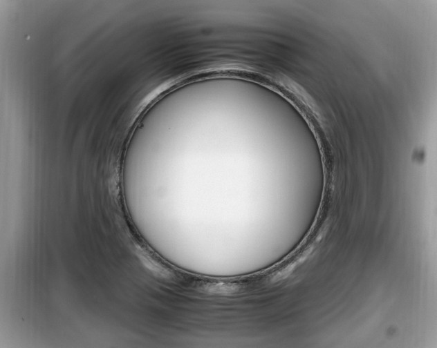 X0000099931321200805230951