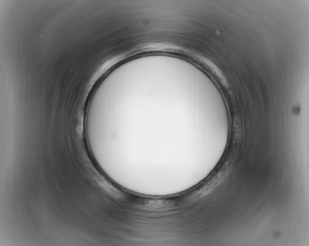 X0000099931322200805230951