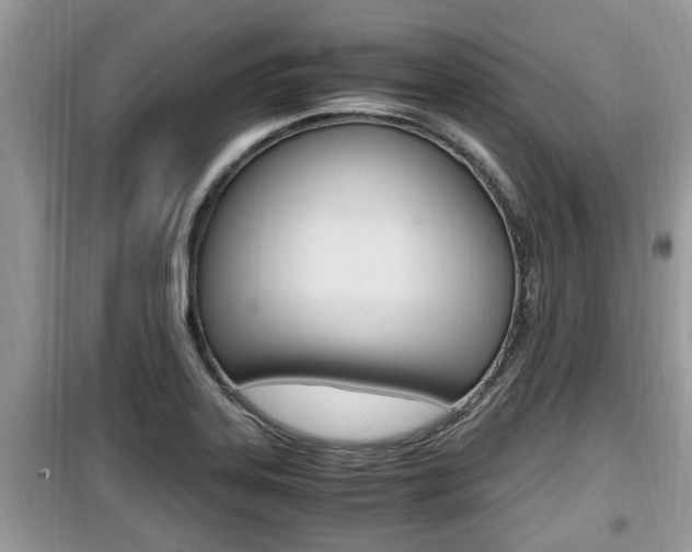 X0000099931323200805230951