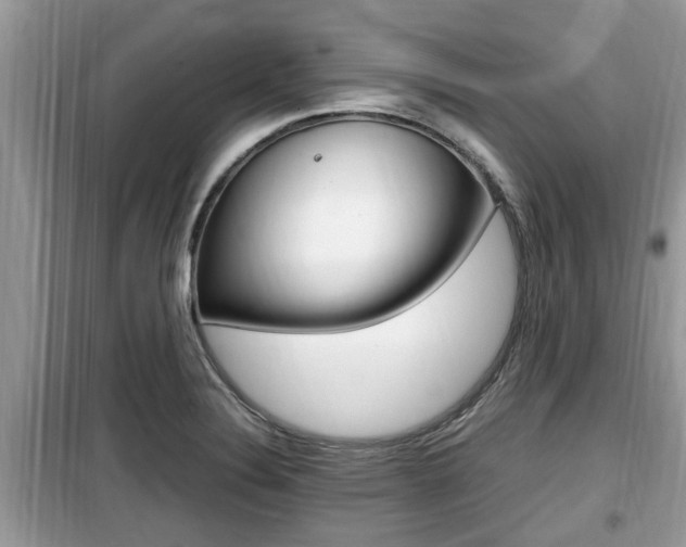 X0000099931324200805230951