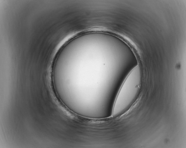 X0000099931325200805230951