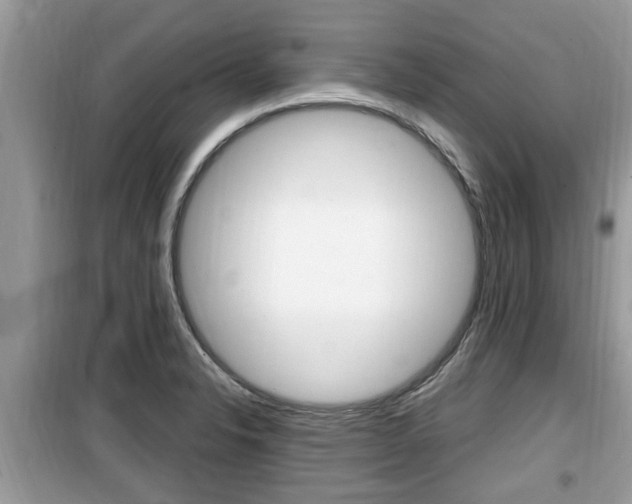 X0000099931326200805230951