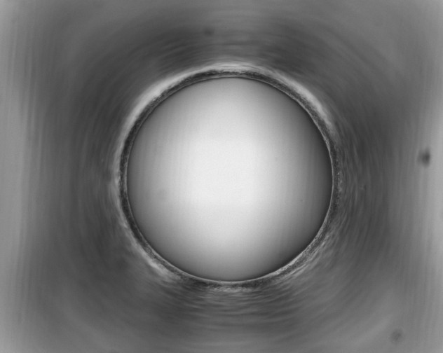 X0000099931327200805230951
