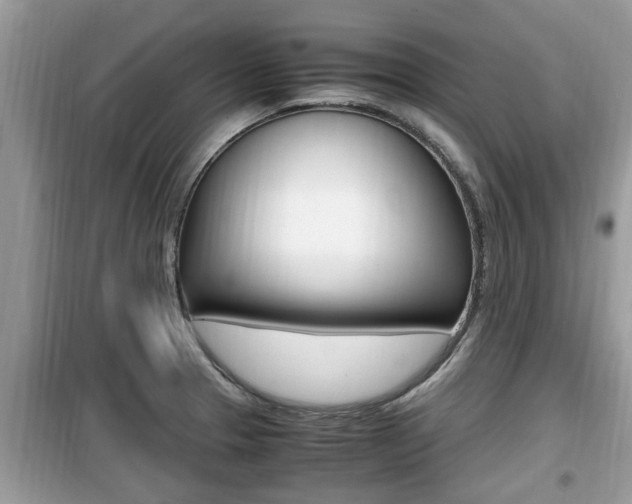 X0000099931329200805230951