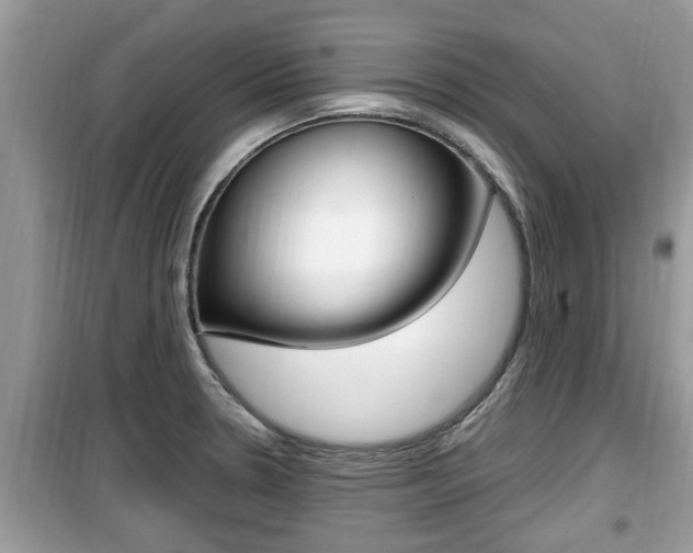 X0000099931330200805230951