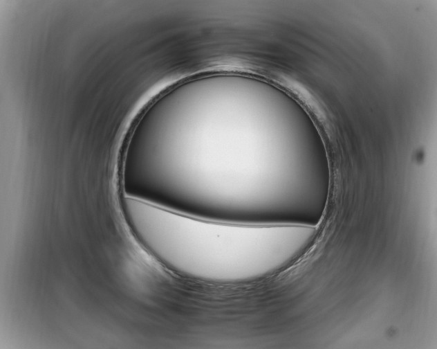 X0000099931331200805230951