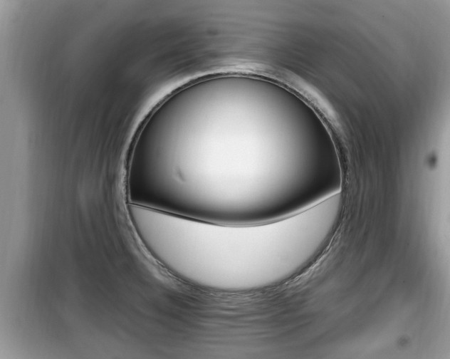 X0000099931332200805230951