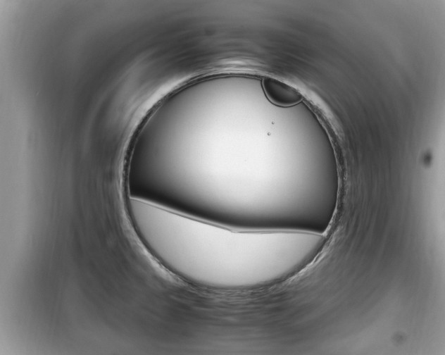 X0000099931333200805230951