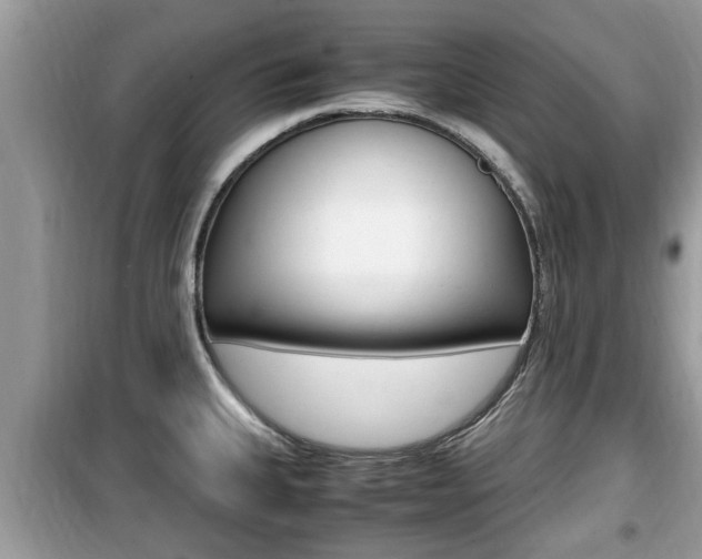 X0000099931335200805230951