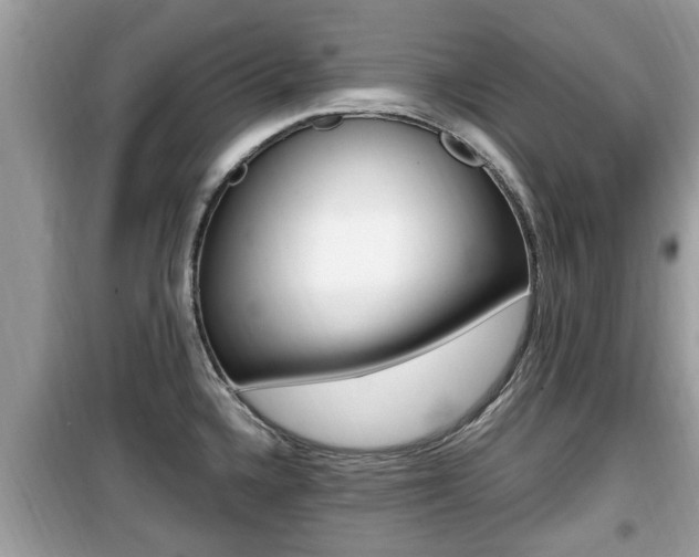 X0000099931336200805230951