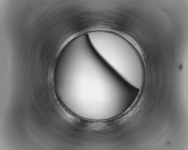 X0000099931337200805230951