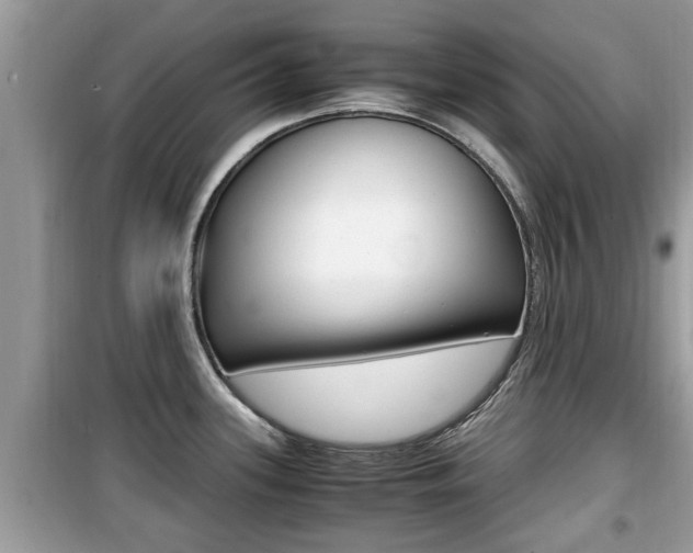 X0000099931339200805230951