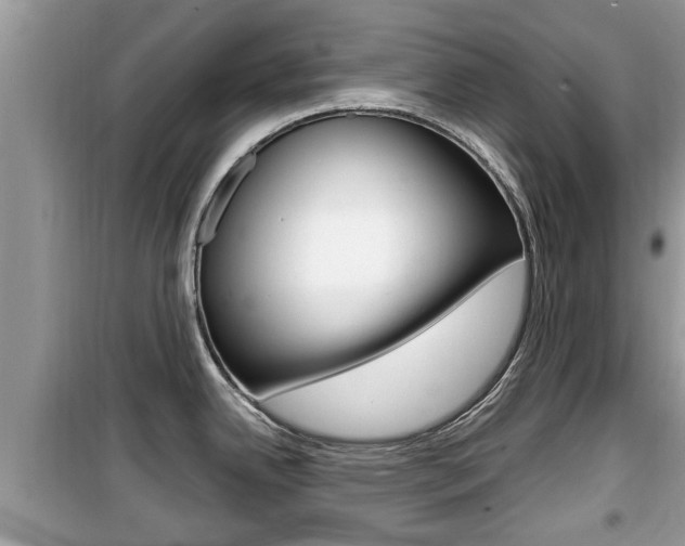 X0000099931342200805230951
