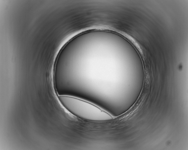 X0000099931343200805230951