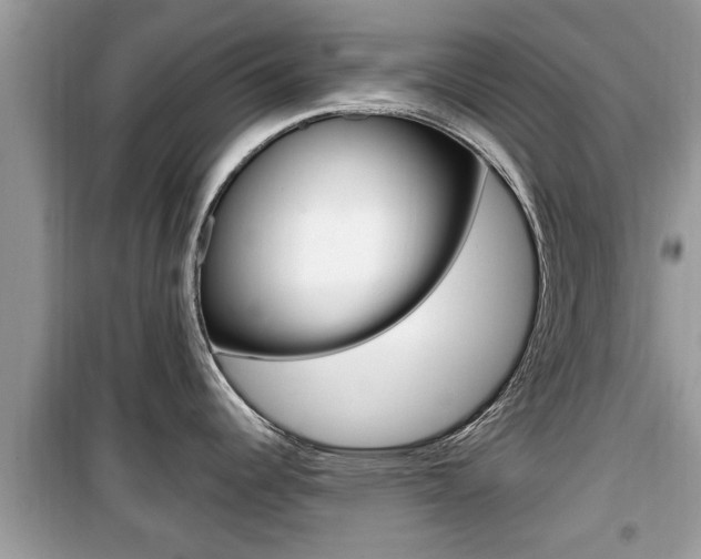 X0000099931344200805230951