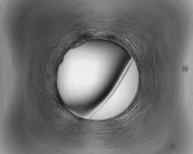 X0000099931345200805230951