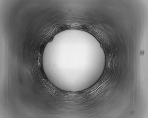 X0000099931346200805230951