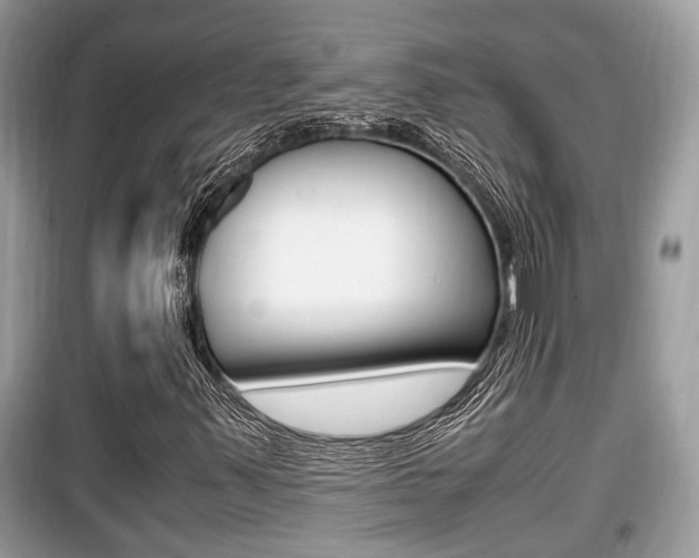 X0000099931347200805230951