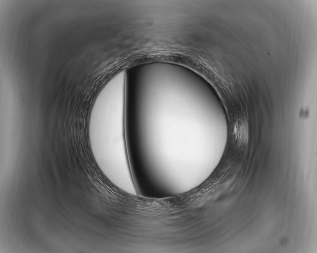 X0000099931348200805230951