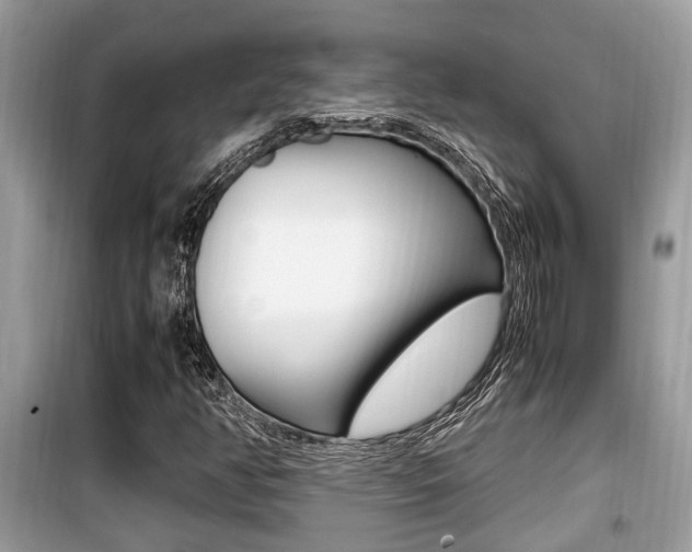 X0000099931350200805230951