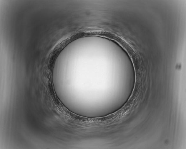 X0000099931351200805230951
