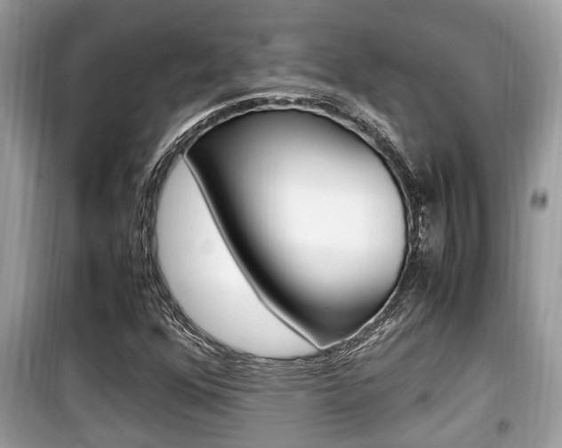 X0000099931352200805230951