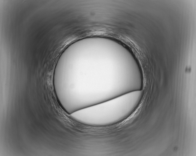 X0000099931353200805230951