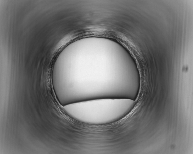 X0000099931354200805230951