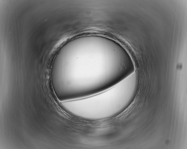 X0000099931355200805230951