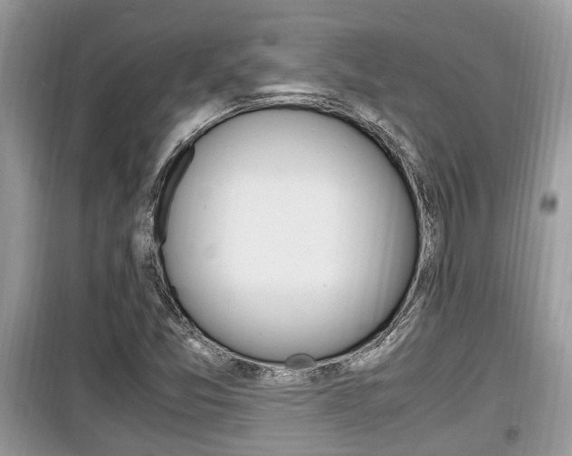 X0000099931357200805230951