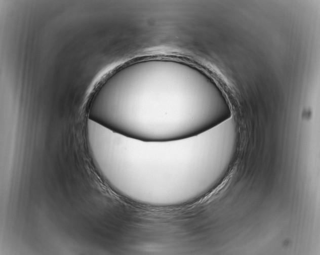 X0000099931358200805230951