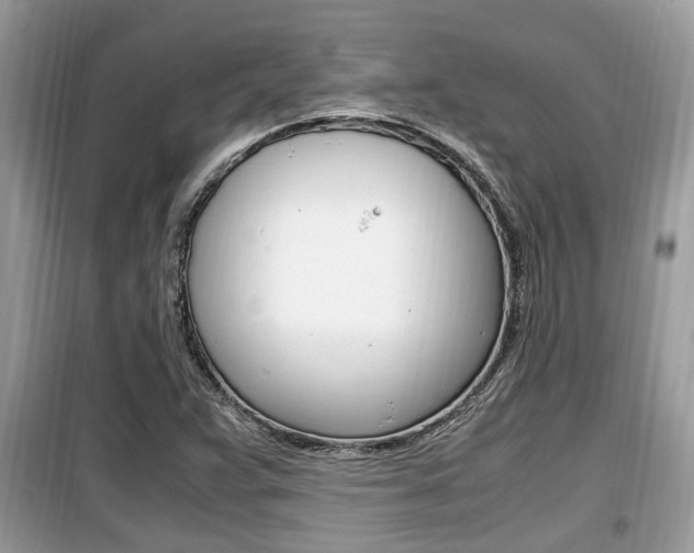 X0000099931359200805230951