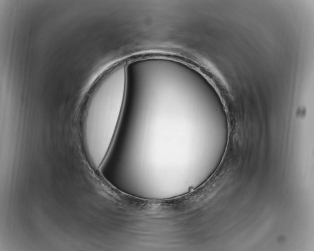 X0000099931360200805230951