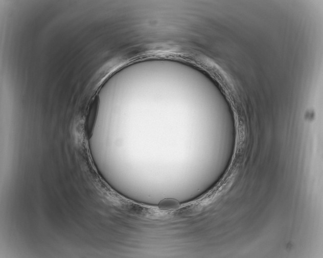 X0000099931361200805230951