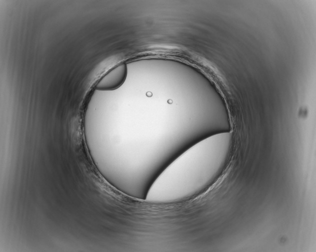 X0000099931362200805230950