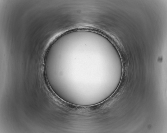 X0000099931363200805230950