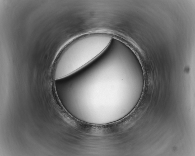 X0000099931364200805230950