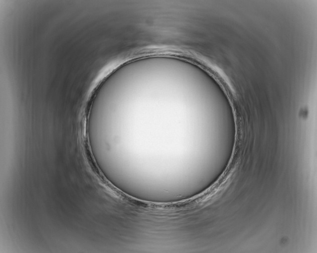 X0000099931365200805230950